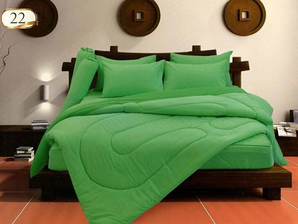 ผ้าปูที่นอน แฟเลดี้ สีพื้น 27 เฉดสี ชุดที่4